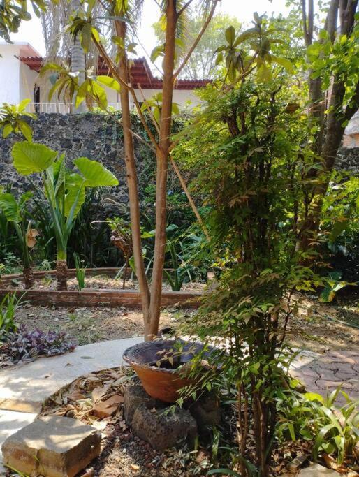 הוילה Linda Casa En Tepoztlan Centro 1 מראה חיצוני תמונה